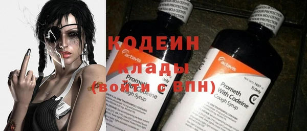 МДПВ Каменногорск