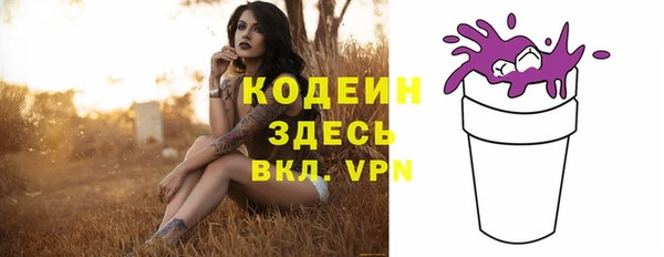 МДПВ Каменногорск