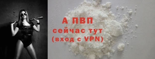2c-b Инсар