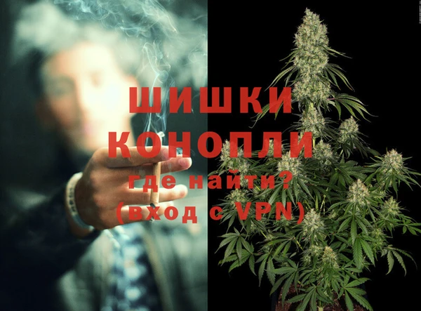 стаф Инта