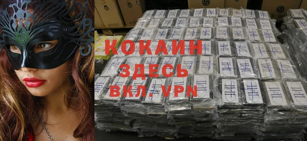 МДПВ Каменногорск