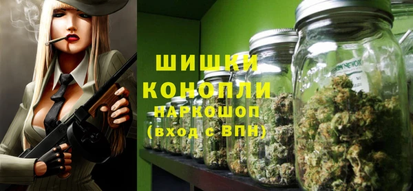 МДПВ Каменногорск