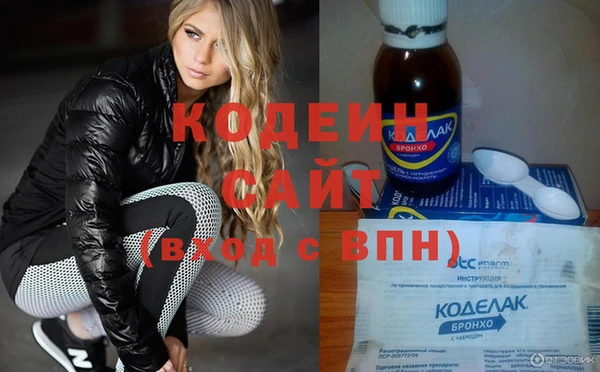 стаф Инта