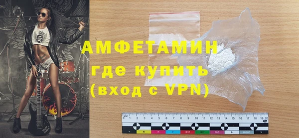 стаф Инта