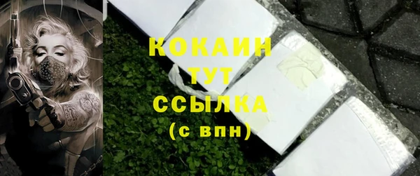 МДПВ Каменногорск